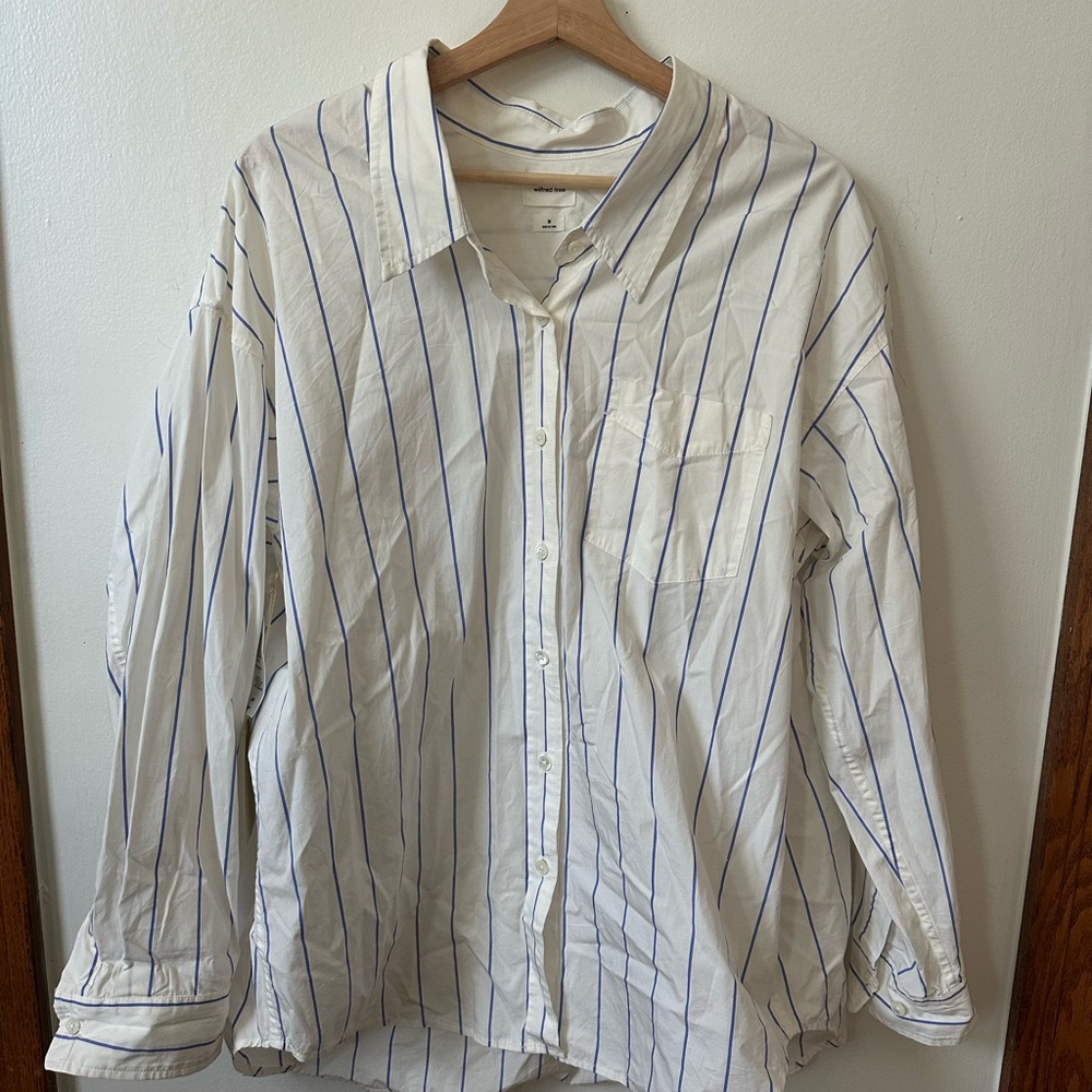 Aritzia Striped button up